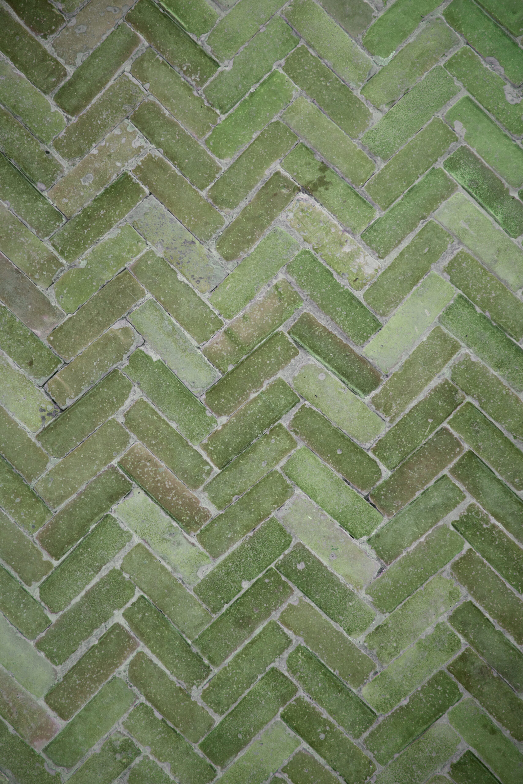 fondo ladrillos verdes